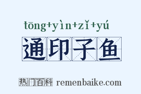 通印子鱼是什么意思的图片